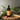 Tress Treats Champi Oil